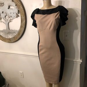 Midi dress by Ted Baker